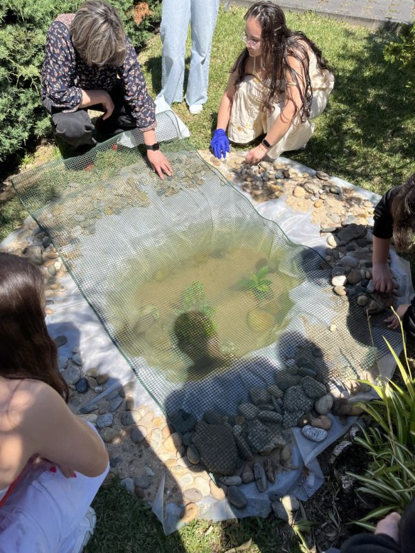 Construção de um charco, fonte de biodiversidade