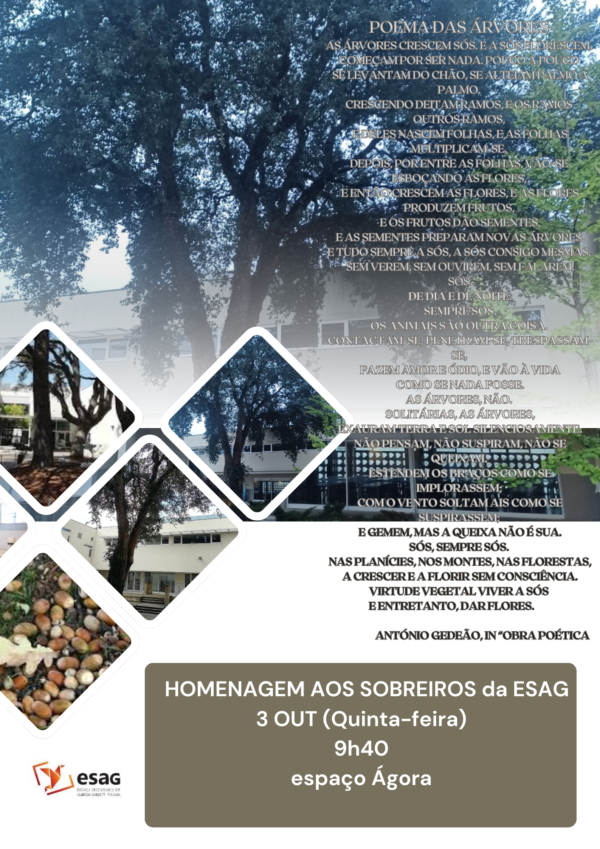 Homenagem ao sobreiro